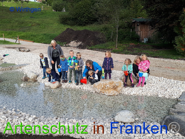 © Artenschutz in Franken® Wirthgen Bild zum Eintrag (1012425-160)