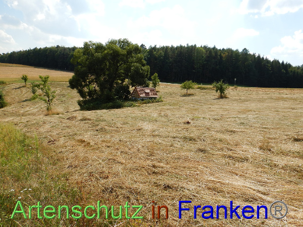 Bild zum Eintrag (101250-160)