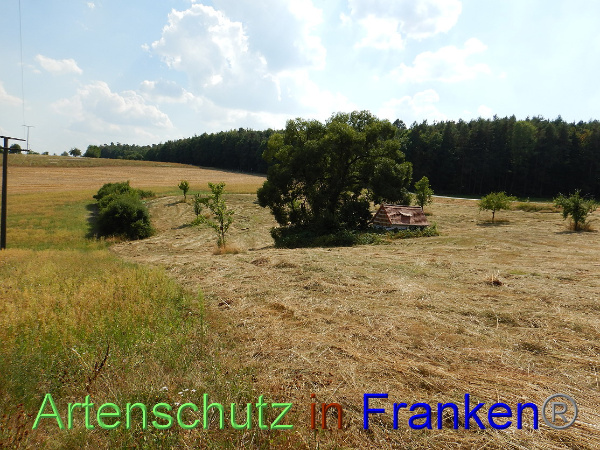 Bild zum Eintrag (101252-160)