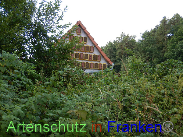 Bild zum Eintrag (101254-160)