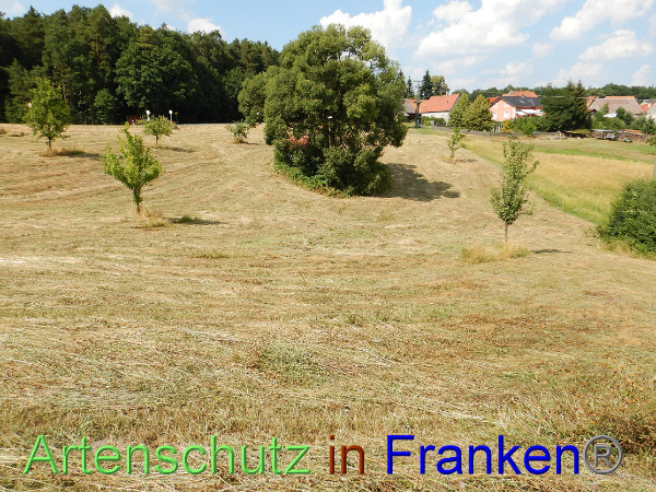 Bild zum Eintrag (101256-160)