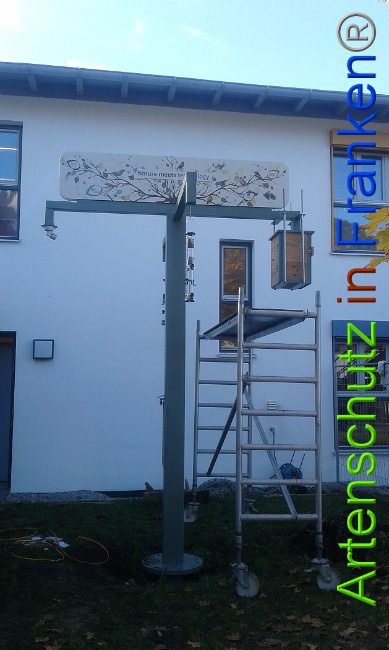 © Artenschutz in Franken® Bild zum Eintrag (1012758-160)