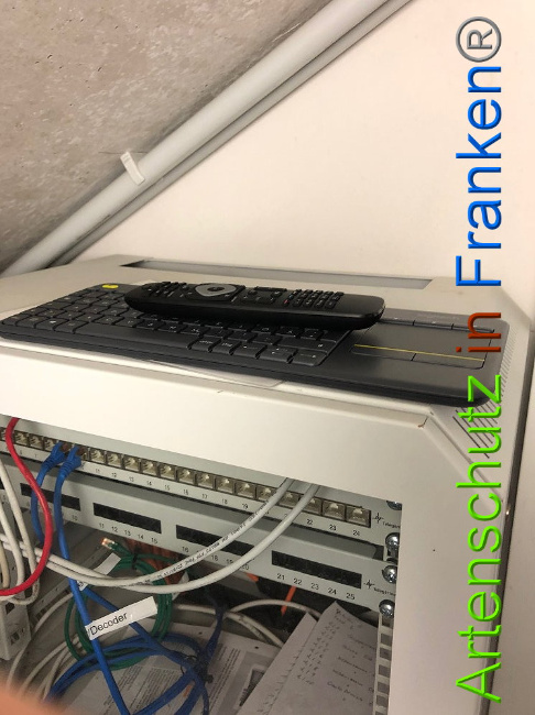 © Artenschutz in Franken® Bild zum Eintrag (1012797-160)