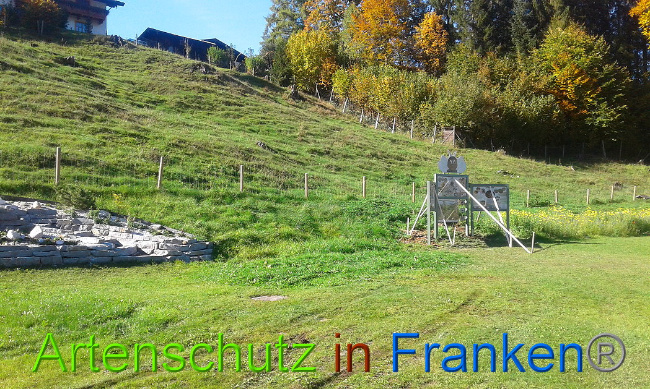 © Artenschutz in Franken® Bild zum Eintrag (1012806-160)