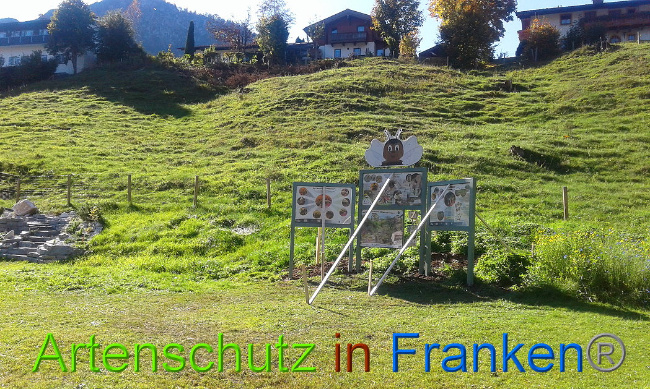 © Artenschutz in Franken® Bild zum Eintrag (1012808-160)