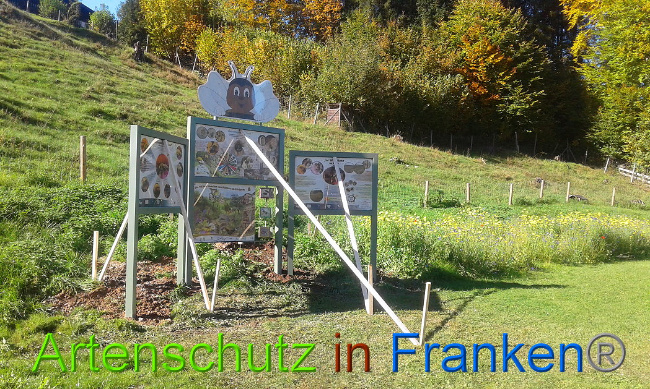 Bild zum Eintrag (1012809-160)