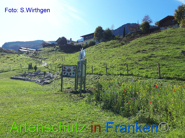 © Artenschutz in Franken® Bild zum Eintrag (1012848-160)