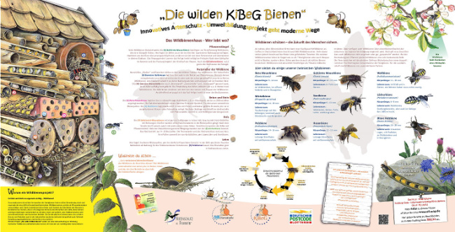 © Artenschutz in Franken® Bild zum Eintrag (1012918-160)