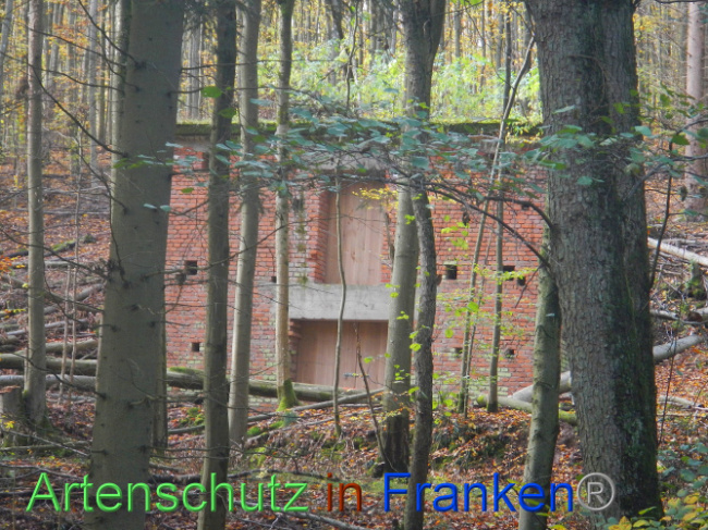 © Artenschutz in Franken® Bild zum Eintrag (1012947-160)