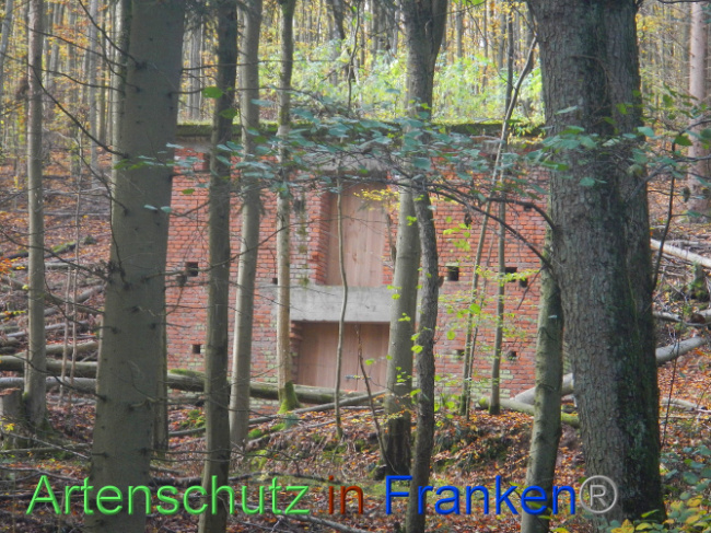 Bild zum Eintrag (1012947-160)