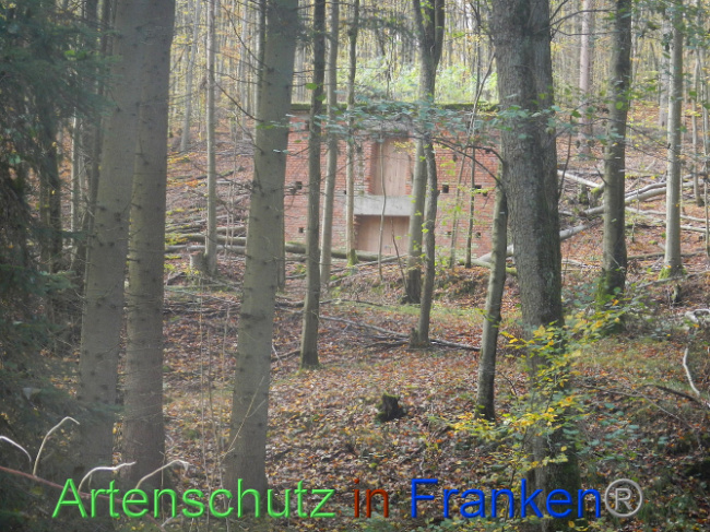 © Artenschutz in Franken® Bild zum Eintrag (1012951-160)