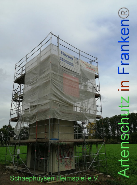 © Artenschutz in Franken® Bild zum Eintrag (1012975-160)
