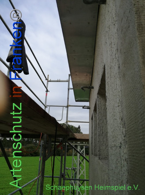 Bild zum Eintrag (1012979-160)