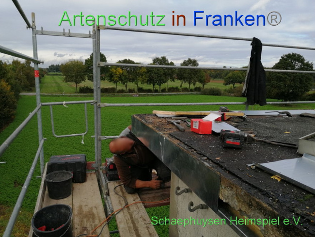 Bild zum Eintrag (1012980-160)