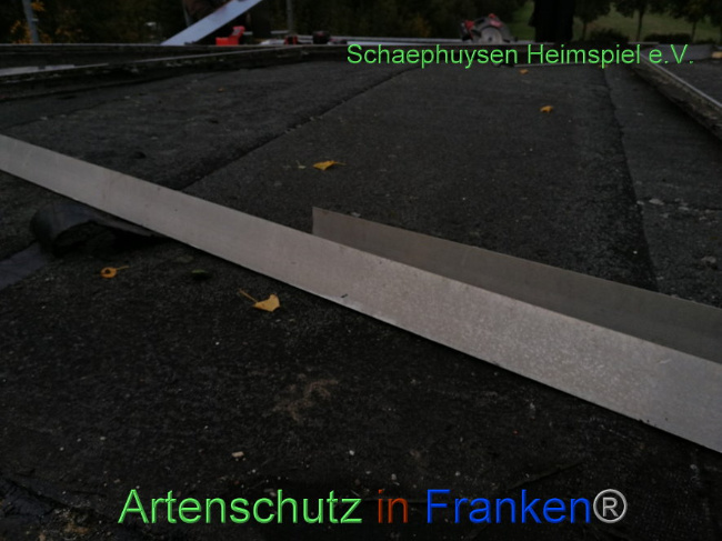 Bild zum Eintrag (1012981-160)