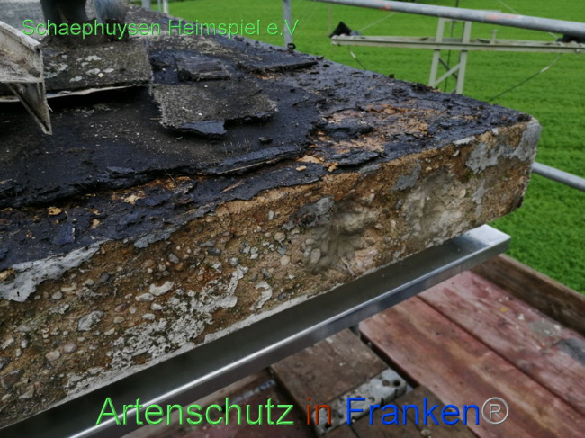 Bild zum Eintrag (1012982-160)