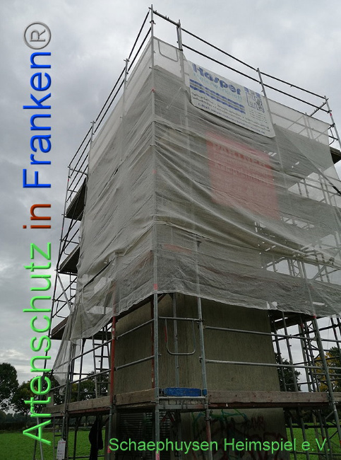 © Artenschutz in Franken® Bild zum Eintrag (1012995-160)