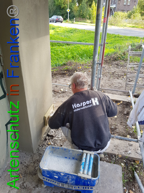 © Artenschutz in Franken® - Heimatverein Schaephuysen e.V. Bild zum Eintrag (1013056-160)