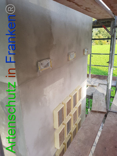 © Artenschutz in Franken® - Heimatverein Schaephuysen e.V. Bild zum Eintrag (1013057-160)