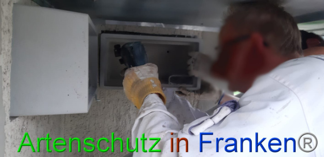 © Artenschutz in Franken® - Heimatverein Schaephuysen e.V. Bild zum Eintrag (1013058-160)