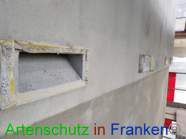 © Artenschutz in Franken® - Heimatverein Schaephuysen e.V. Bild zum Eintrag (1013059-160)