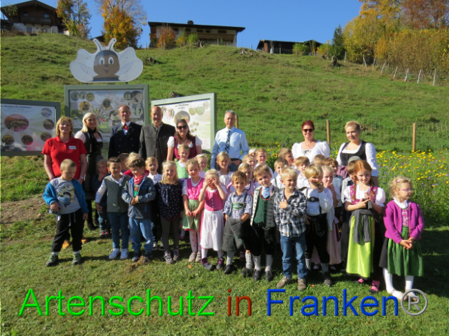 © Artenschutz in Franken® Bild zum Eintrag (1013081-160)