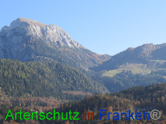 Bild zum Eintrag (1013088-160)