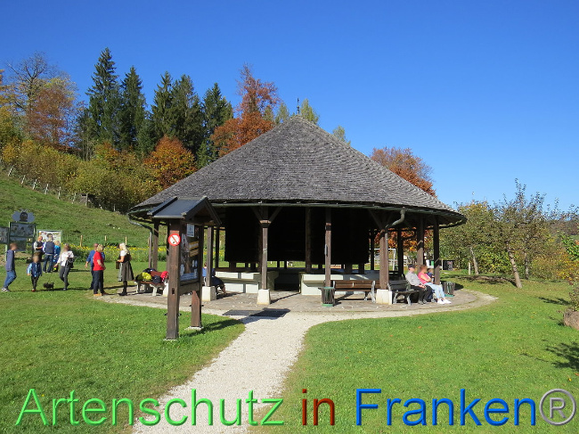© Artenschutz in Franken® Bild zum Eintrag (1013141-160)