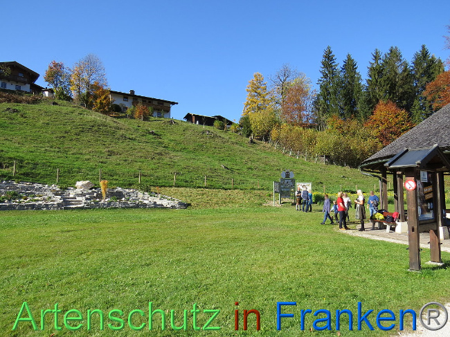 © Artenschutz in Franken® Bild zum Eintrag (1013143-160)