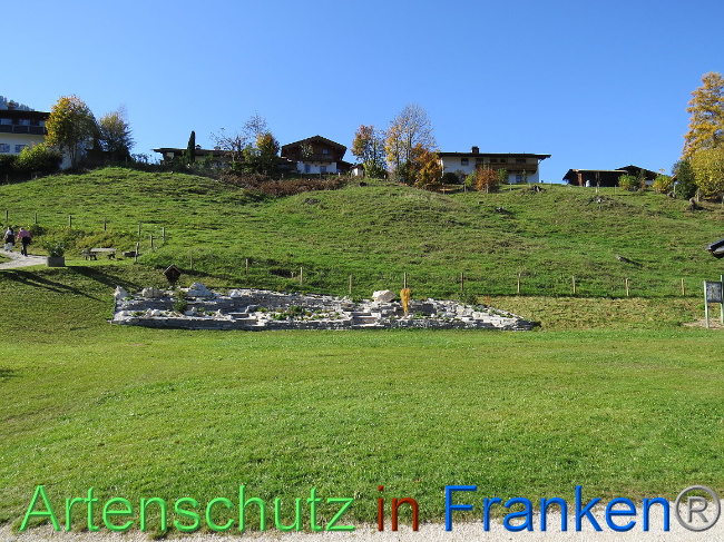 © Artenschutz in Franken® Bild zum Eintrag (1013144-160)