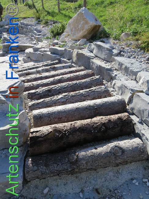 © Artenschutz in Franken® Bild zum Eintrag (1013147-160)