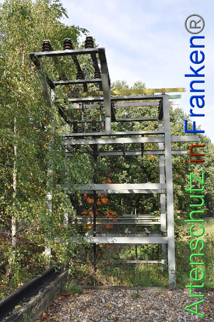 © Artenschutz in Franken® Bild zum Eintrag (1013209-160)