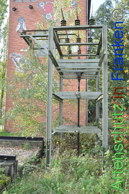 © Artenschutz in Franken® Bild zum Eintrag (1013210-160)