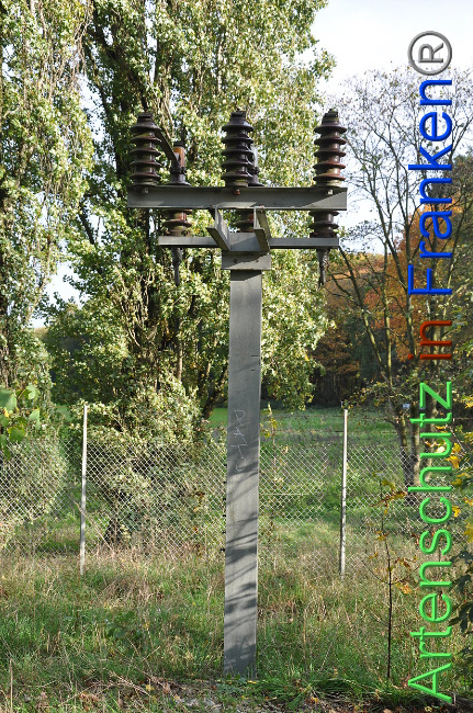© Artenschutz in Franken® Bild zum Eintrag (1013213-160)