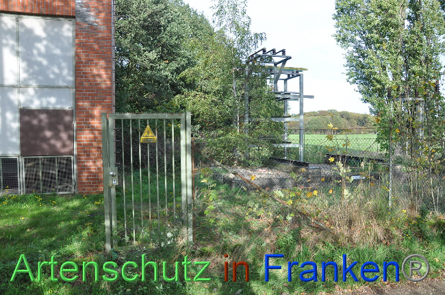 © Artenschutz in Franken® Bild zum Eintrag (1013221-160)