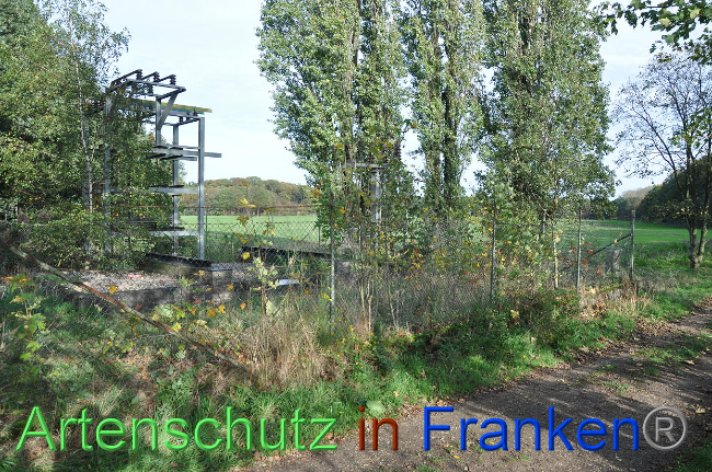 © Artenschutz in Franken® Bild zum Eintrag (1013222-160)