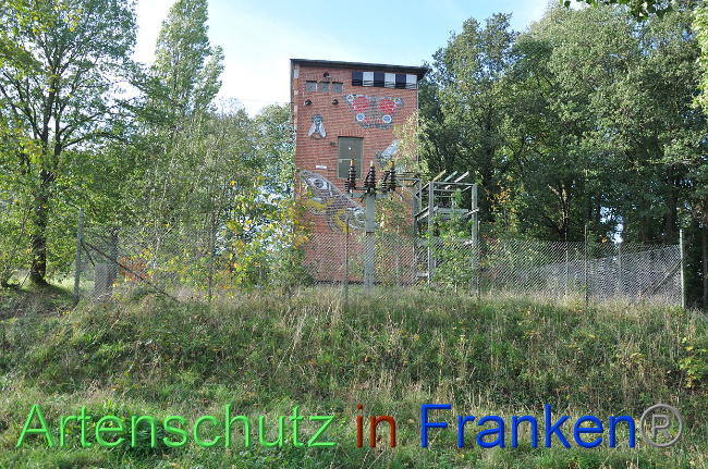 © Artenschutz in Franken® Bild zum Eintrag (1013223-160)