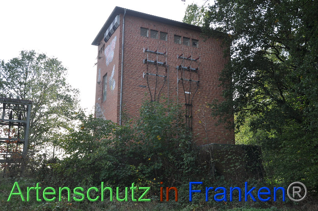 © Artenschutz in Franken® Bild zum Eintrag (1013225-160)