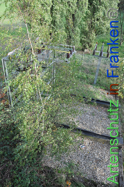 © Artenschutz in Franken® Bild zum Eintrag (1013230-160)
