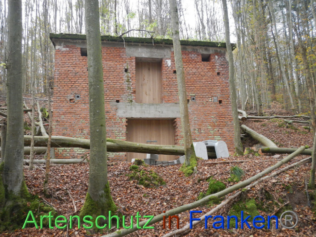 Bild zum Eintrag (1013261-160)