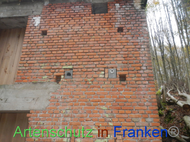 © Artenschutz in Franken® Bild zum Eintrag (1013277-160)
