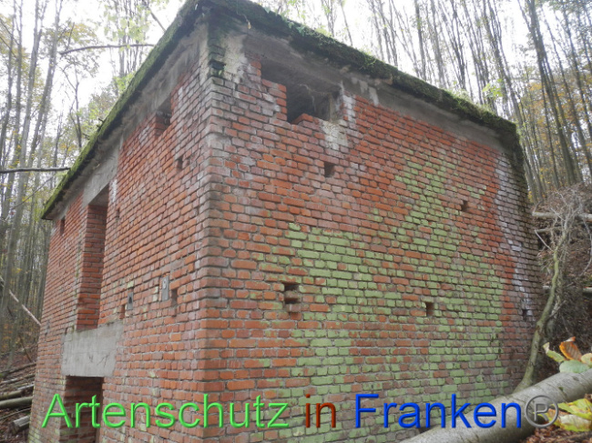 © Artenschutz in Franken® Bild zum Eintrag (1013278-160)