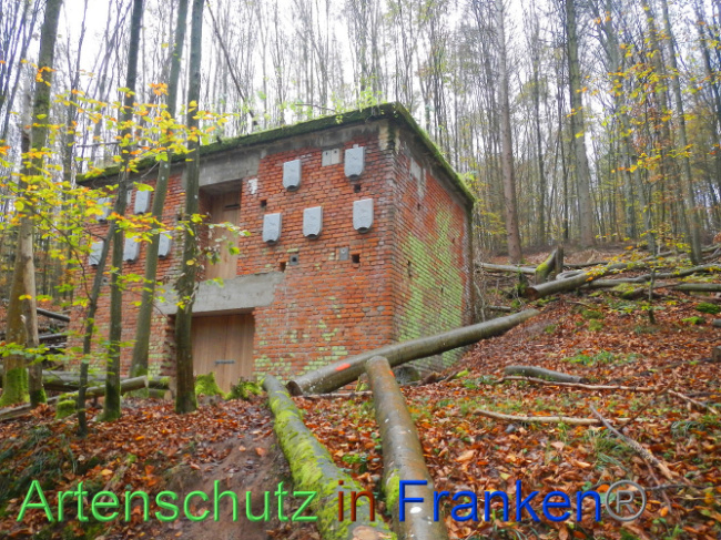 © Artenschutz in Franken® Bild zum Eintrag (1013313-160)