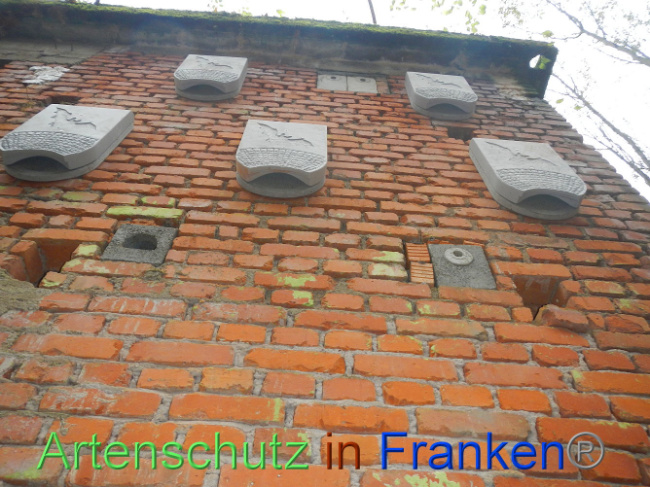 © Artenschutz in Franken® Bild zum Eintrag (1013314-160)