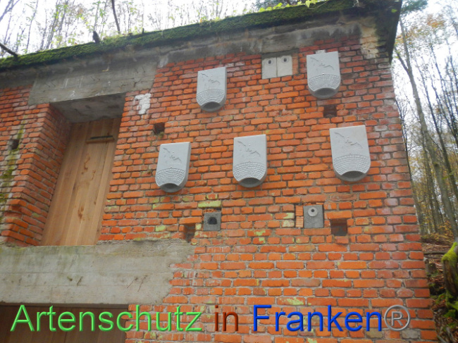 © Artenschutz in Franken® Bild zum Eintrag (1013315-160)