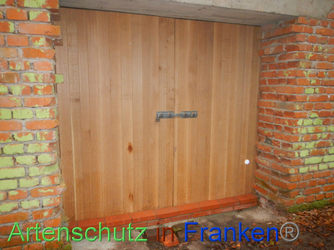 © Artenschutz in Franken® Bild zum Eintrag (1013320-160)
