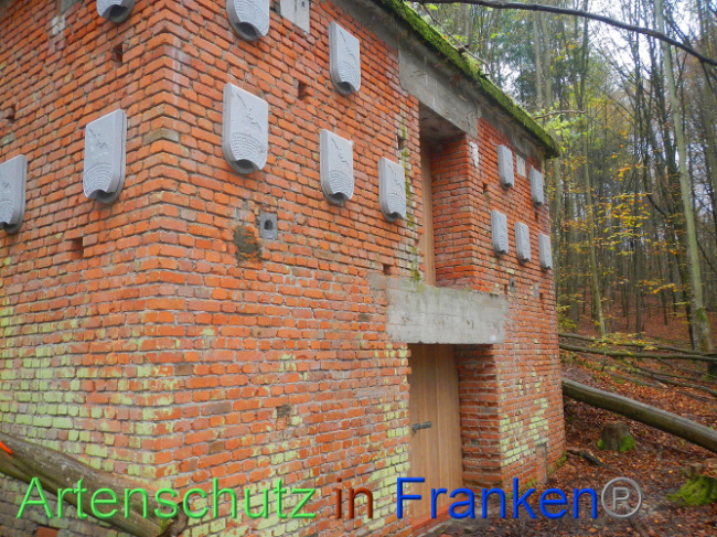 © Artenschutz in Franken® Bild zum Eintrag (1013321-160)