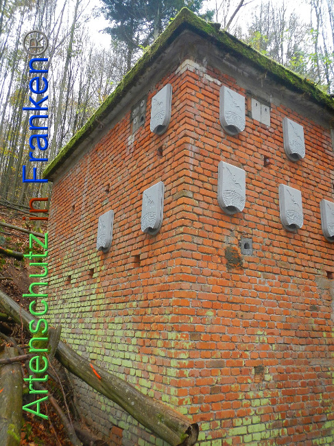 © Artenschutz in Franken® Bild zum Eintrag (1013322-160)