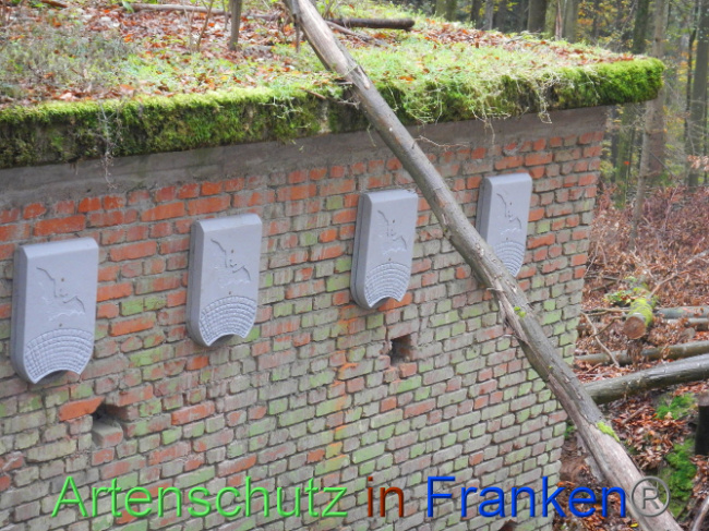 © Artenschutz in Franken® Bild zum Eintrag (1013337-160)