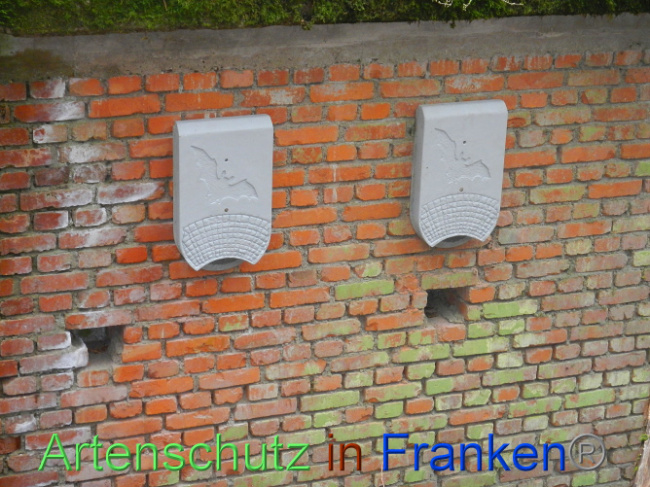 © Artenschutz in Franken® Bild zum Eintrag (1013338-160)